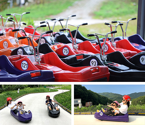 luge_img